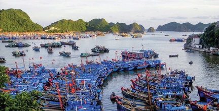 Triển khai Nghị định 67 tại Hải Phòng