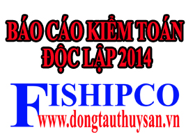 Báo cáo tài chính năm 2014 đã kiểm toán