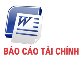 Báo cáo tài chính tổng hợp năm 2016