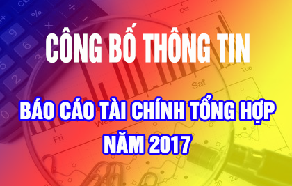 Báo cáo tài chính tổng hợp năm 2017 ( đã kiểm toán)